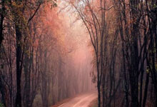 B体育官方:0-3!浙江3胜5负 英博4胜1负 首轮互验成色!刘主任比赵健博强吗.