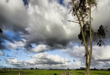 B体育官方:2025亚足联U20亚洲杯四强全部产生2025-02-25.