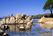 B体育官方:2032年布里斯班奥运会将建造全新主体育场.